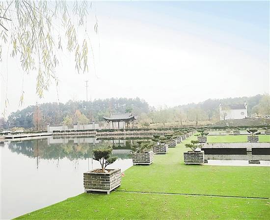 在省市林业部门的指导下,近年来,永康市发展了杉木林,油茶林,毛竹林下