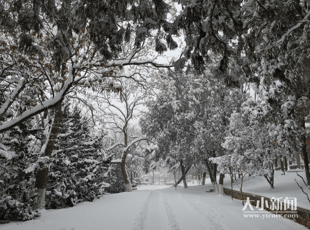 火热征集 | 听说你见过最美的雪？快快晒出你的最美雪景