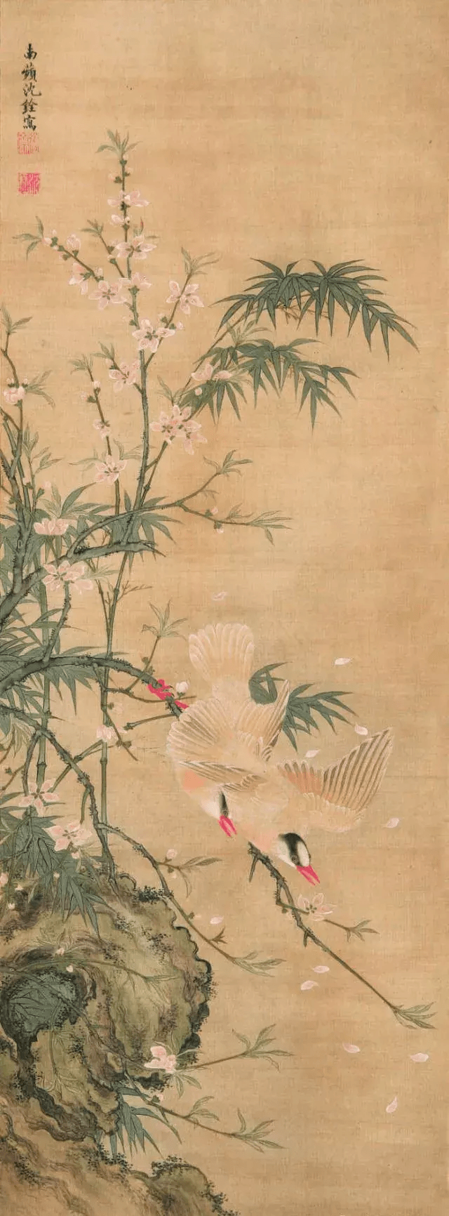 清代花鸟高手沈铨的花鸟,非常养眼