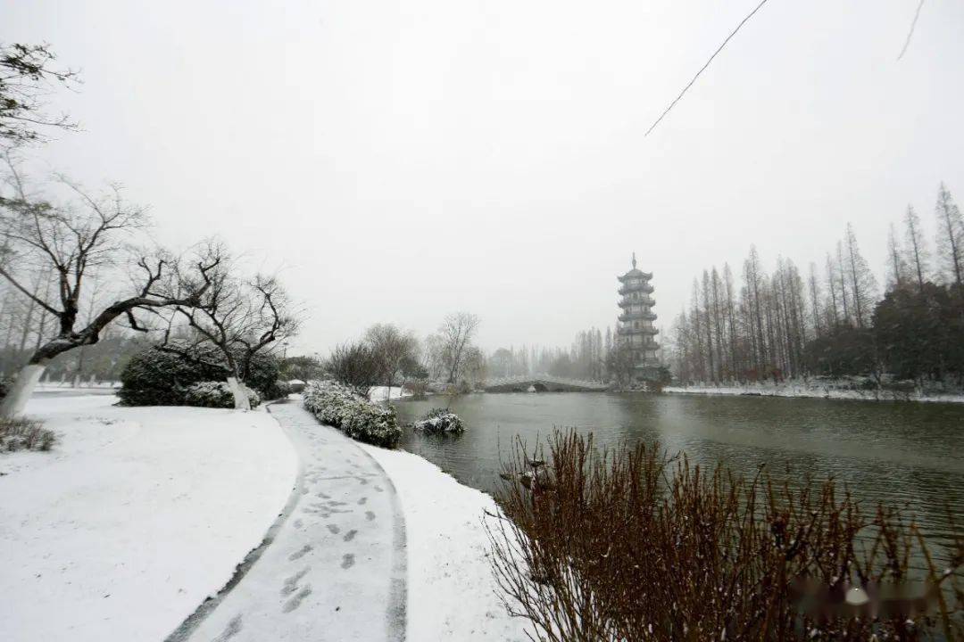 摄影 韩林风雪中的桃花岛处处都是天然图画!