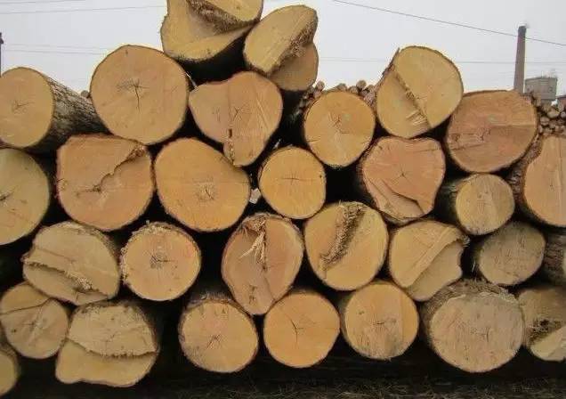 超全！ 实木家具常用的14种木材图解！赛博体育(图13)