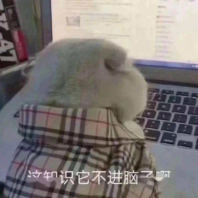 63ed05bcd7e740cb8bfb776ba3985b97.jpeg