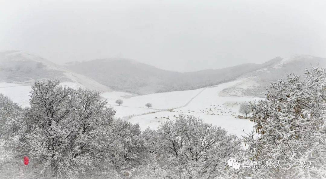 雪纷飞曲谱_大雪纷飞(3)