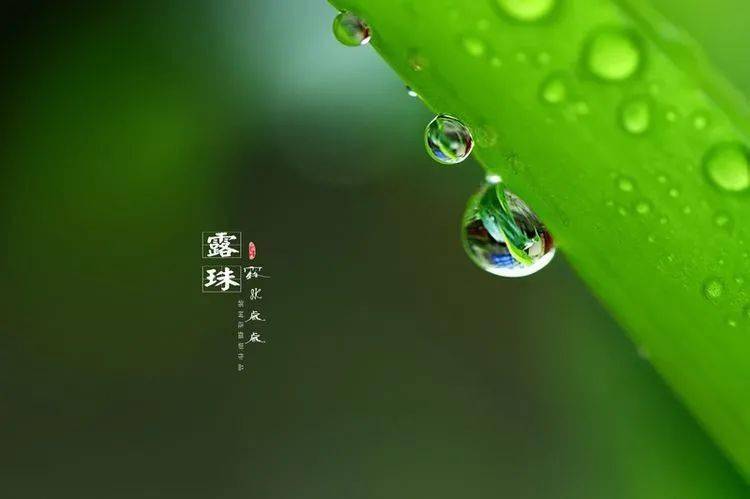 平常心是什么境界 07135cd698ef442a8d1d5ff709bfd500.jpeg