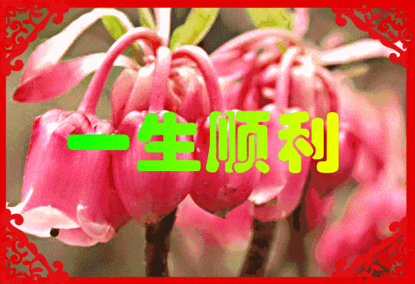 592_405gif 动态图 动图