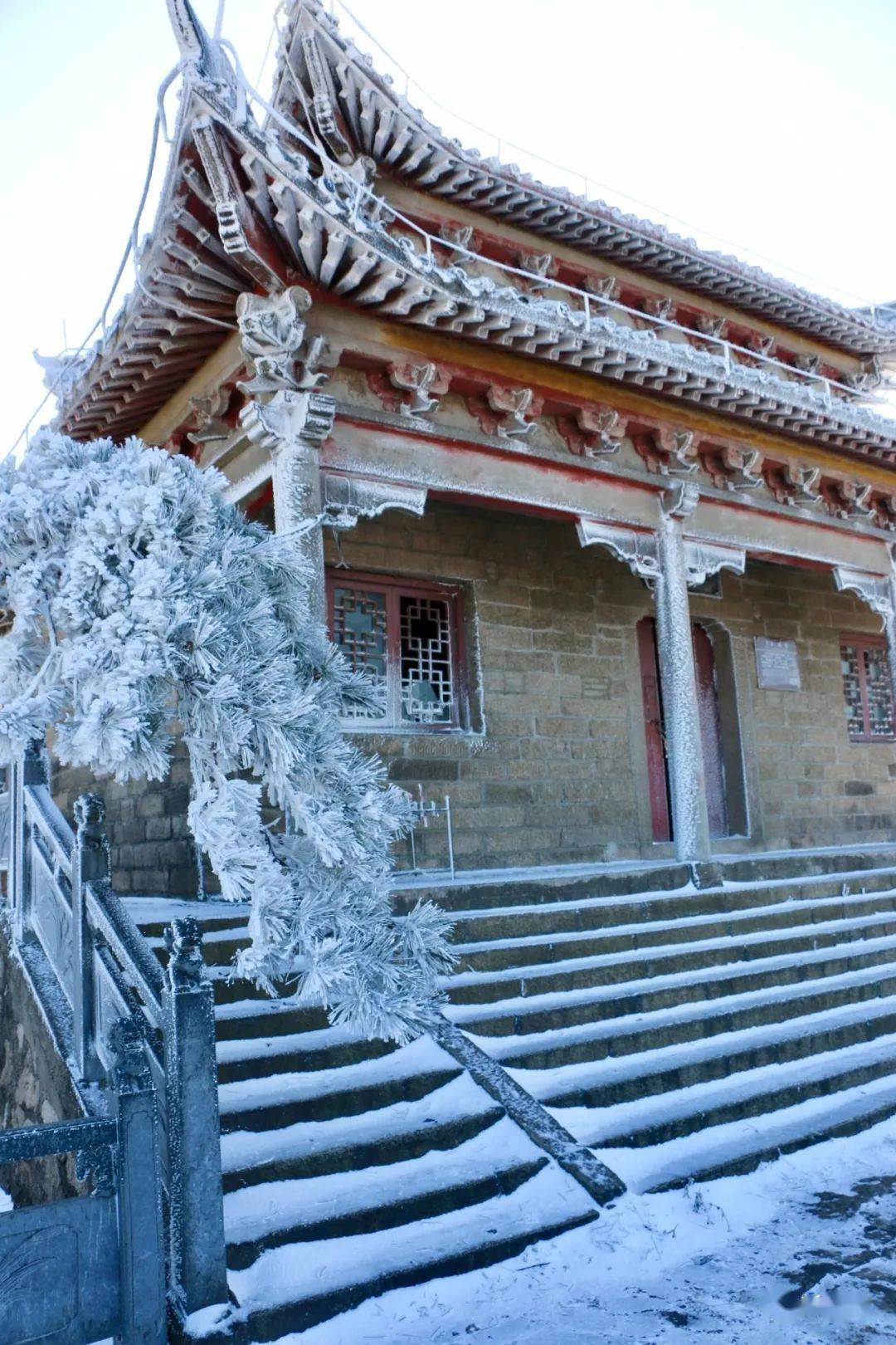 年终巨献——新县金兰山超美雪景大片,太美太梦幻!