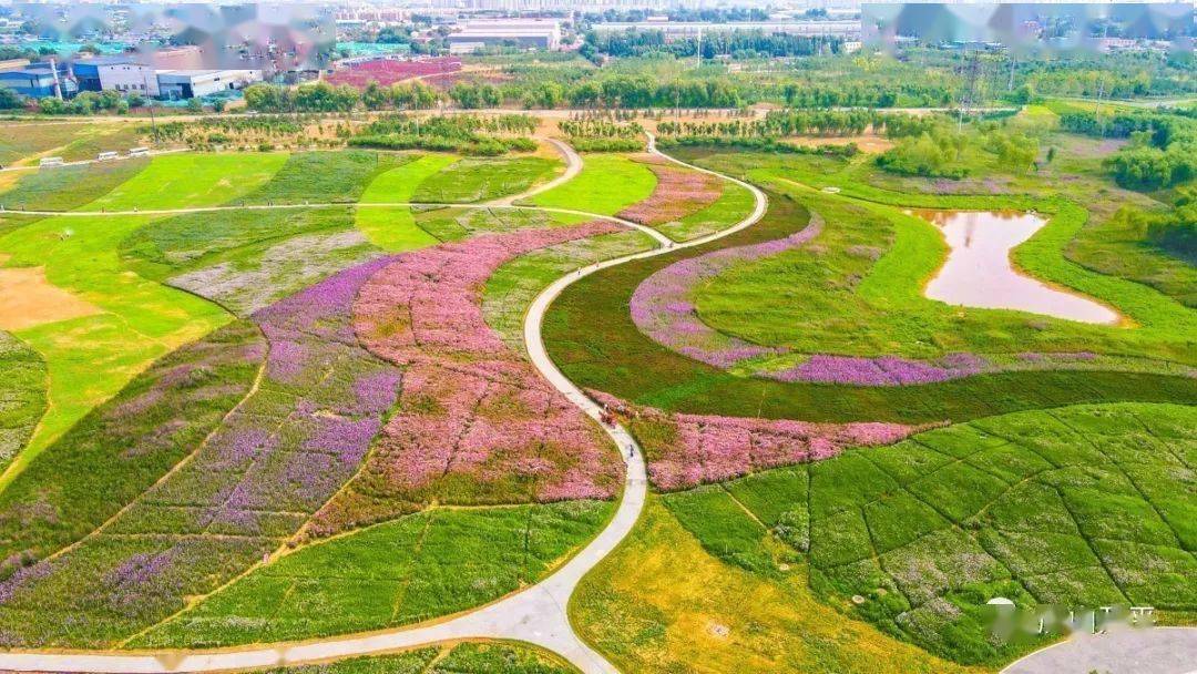 唐山花海远景图.