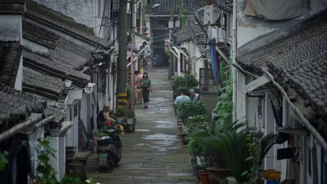 小绍兴人均_绍兴小师爷图片(2)