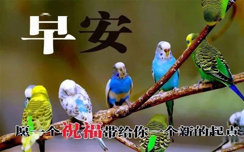 中老年半岛体育专用表情包最新祝你生活惬意快乐无忧！(图7)