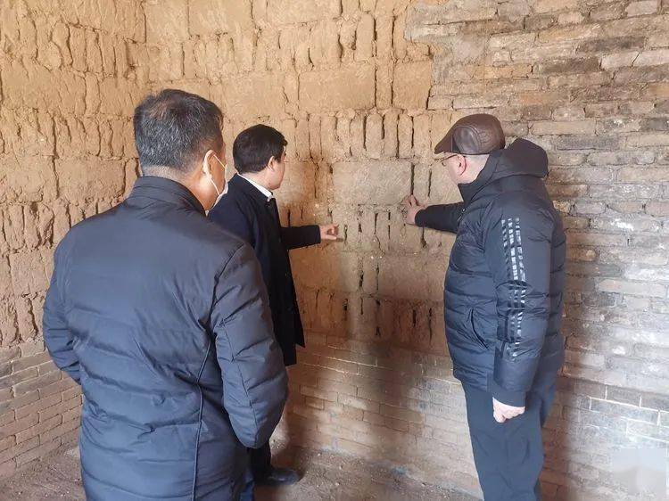 县委书记王俊红调研"双代"等重点工作