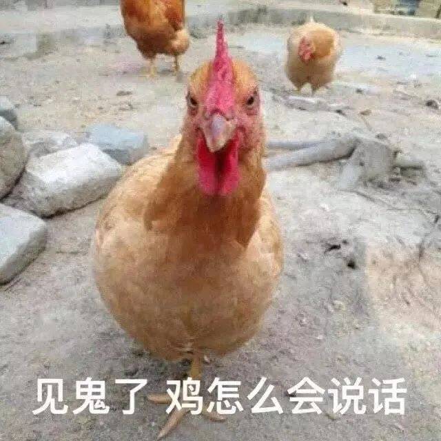 好期待哦