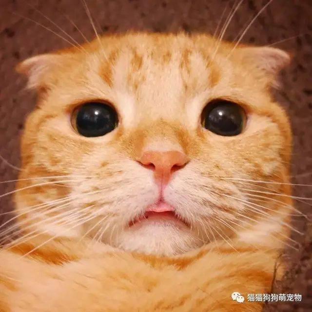90b0f0c6cc9c4f42bed46ff6c7958251.jpeg