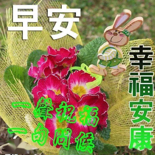 e859a66957134c40a8d9dff51704b4a8.jpeg