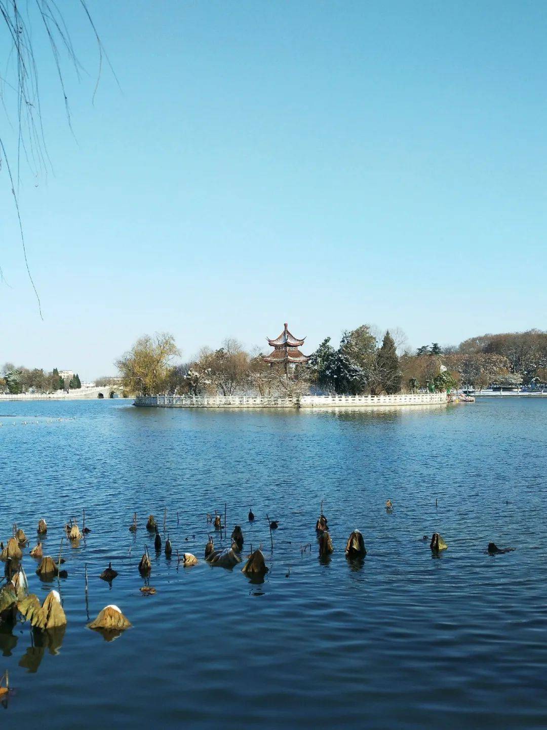 如画 5                雪后报恩寺 6              春申湖雪后日出