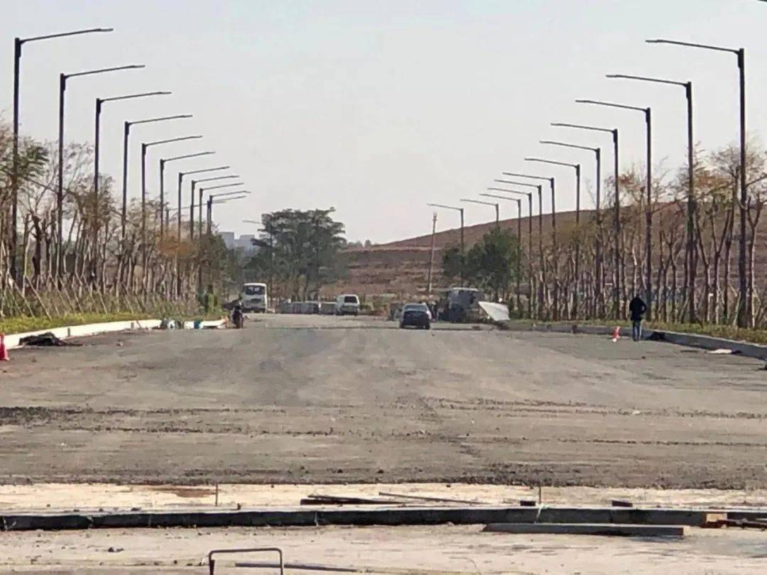 园洲又一条沥青路!