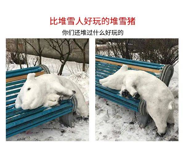 人民吐槽日报丨你是交友软件上的哪类人？