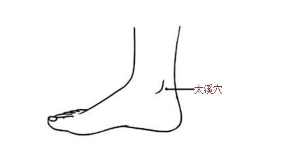 太溪穴(适用:腰背酸痛,足底痛,小儿尿床)