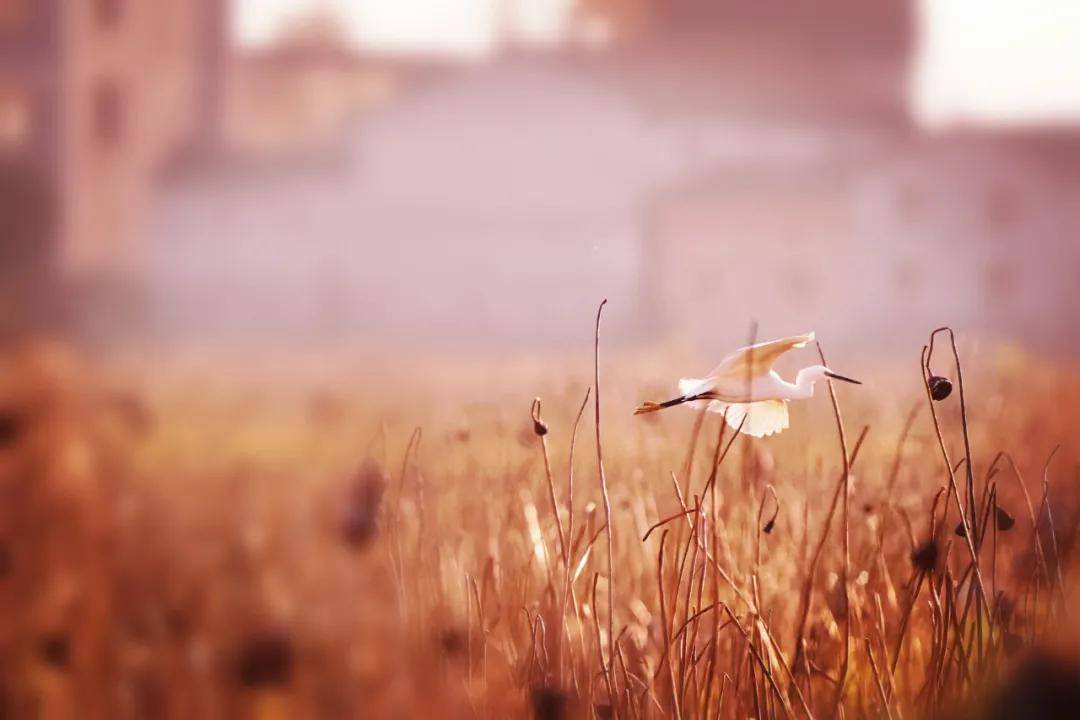 30783600a3d048ab9331e920af3d92f2.jpeg