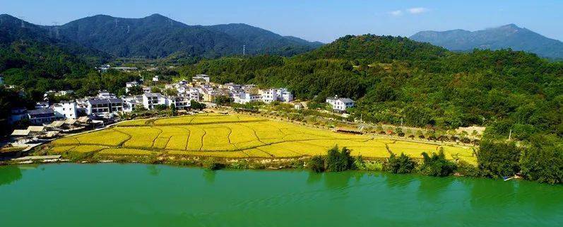 广州从化又被"点名"了!