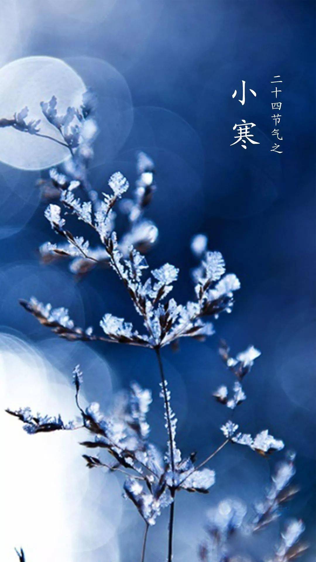 今日小寒我只在乎你送给你致我最在乎的人
