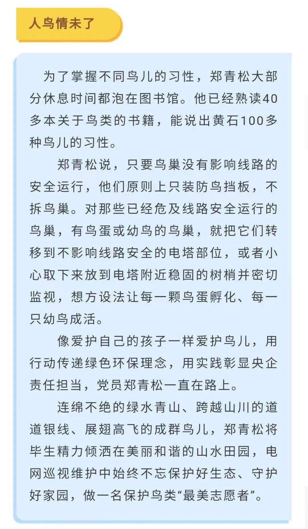 鸟人的简谱_鸟人安德森(3)