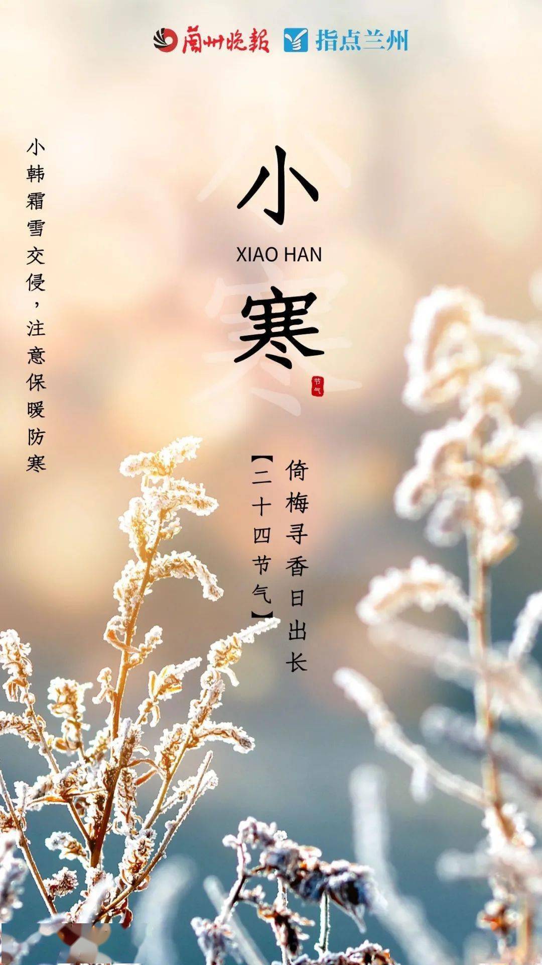 暖阳姑娘简谱_暖阳图片(3)