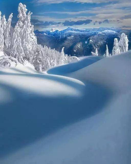 感受茫茫雪景——壮美北国风光