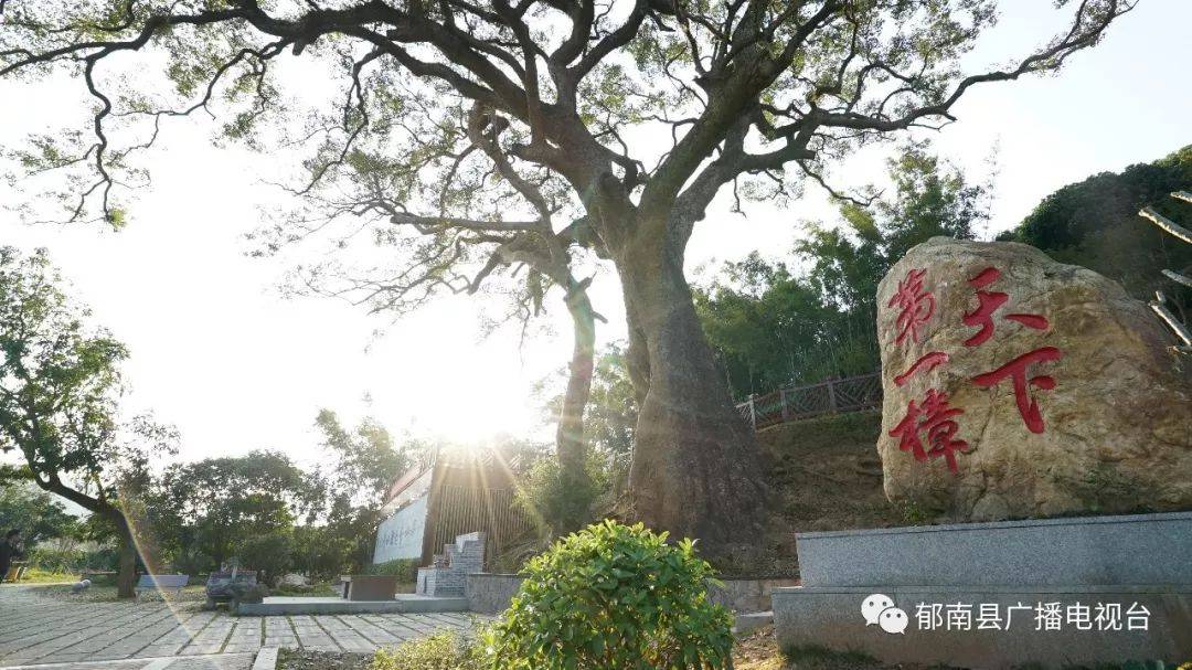 有颜值有实力桂圩镇龙岗村入选省文化和旅游特色村