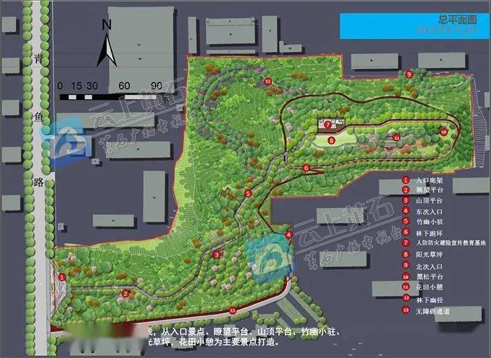 5m,支路设计1.5m游步道.