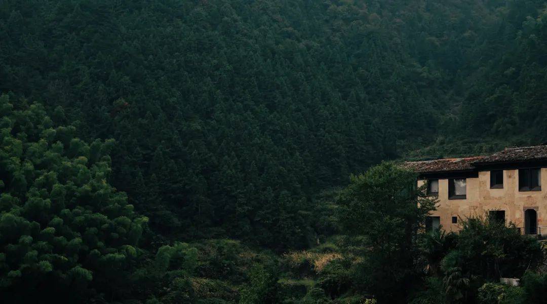 把想说的话, 沉默成了照片里的景象