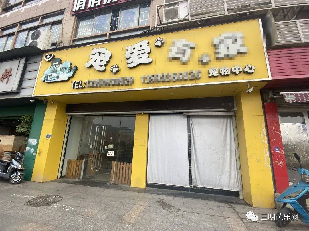 愤怒!三明一宠物店关门,里面有小动物被饿死