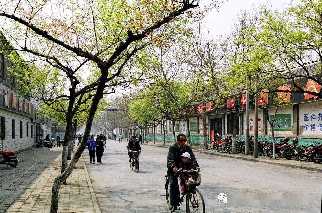 榆树人口有多少人口_榆树盆景(3)