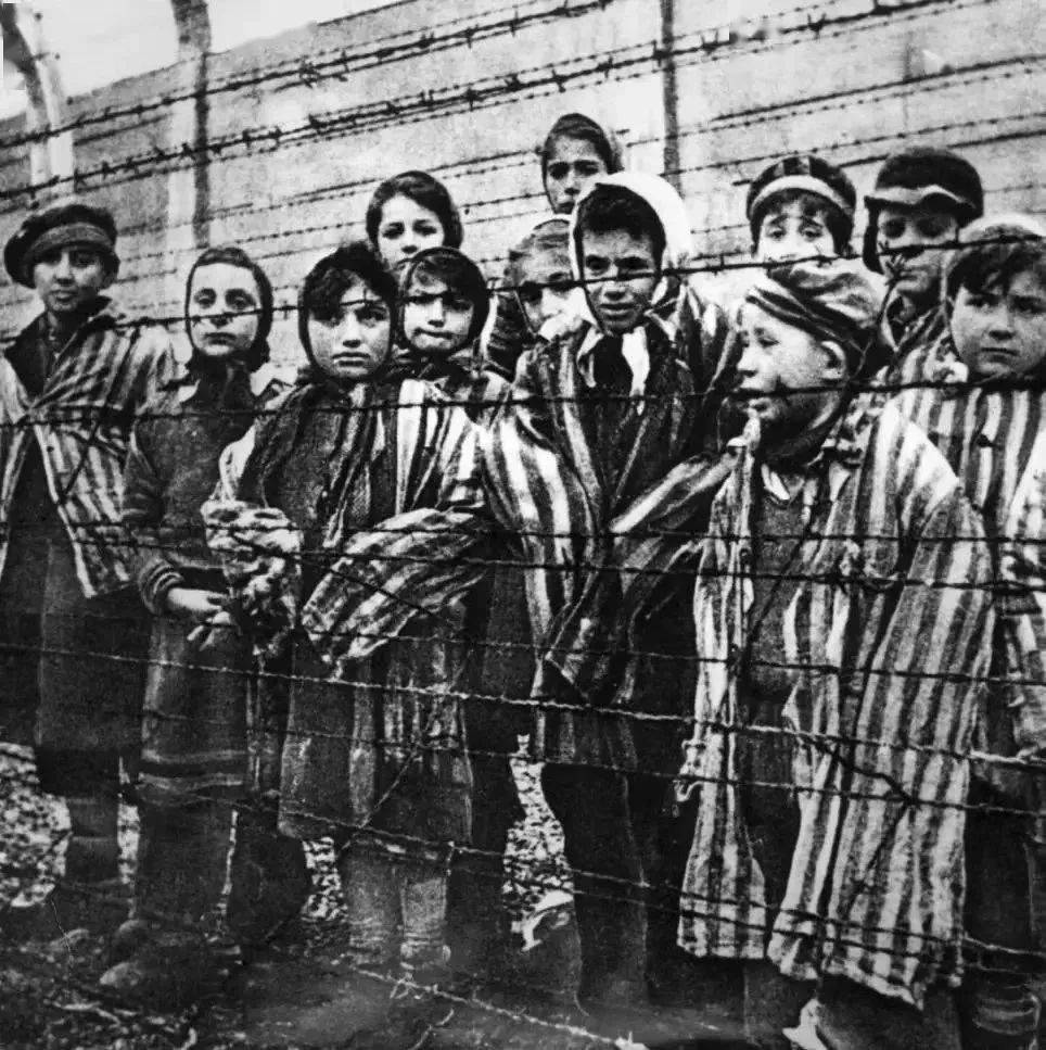 每天都有无数呼啸驶来的大卡车,装进塞满数以千计的犹太人送往集中营