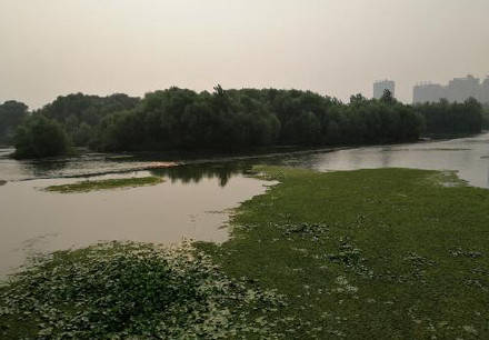陕西新增3处国家级湿地公园