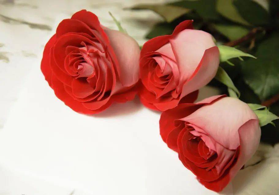 清晨最唯美的早安心语分享,满满正能量,句句打动人心的好句子