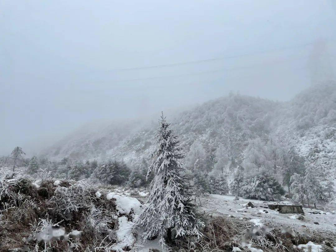 泥巴山神木垒轿顶山二郎山蒙顶山下的雪可是真"资格"得大海拔较高的