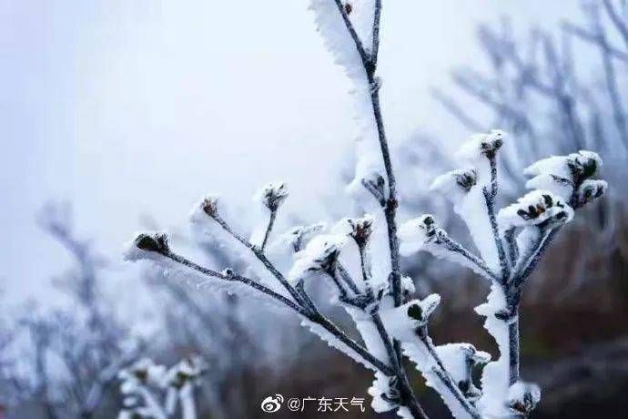 高明区持续寒冷！最低5℃！接下来的周末天气是…