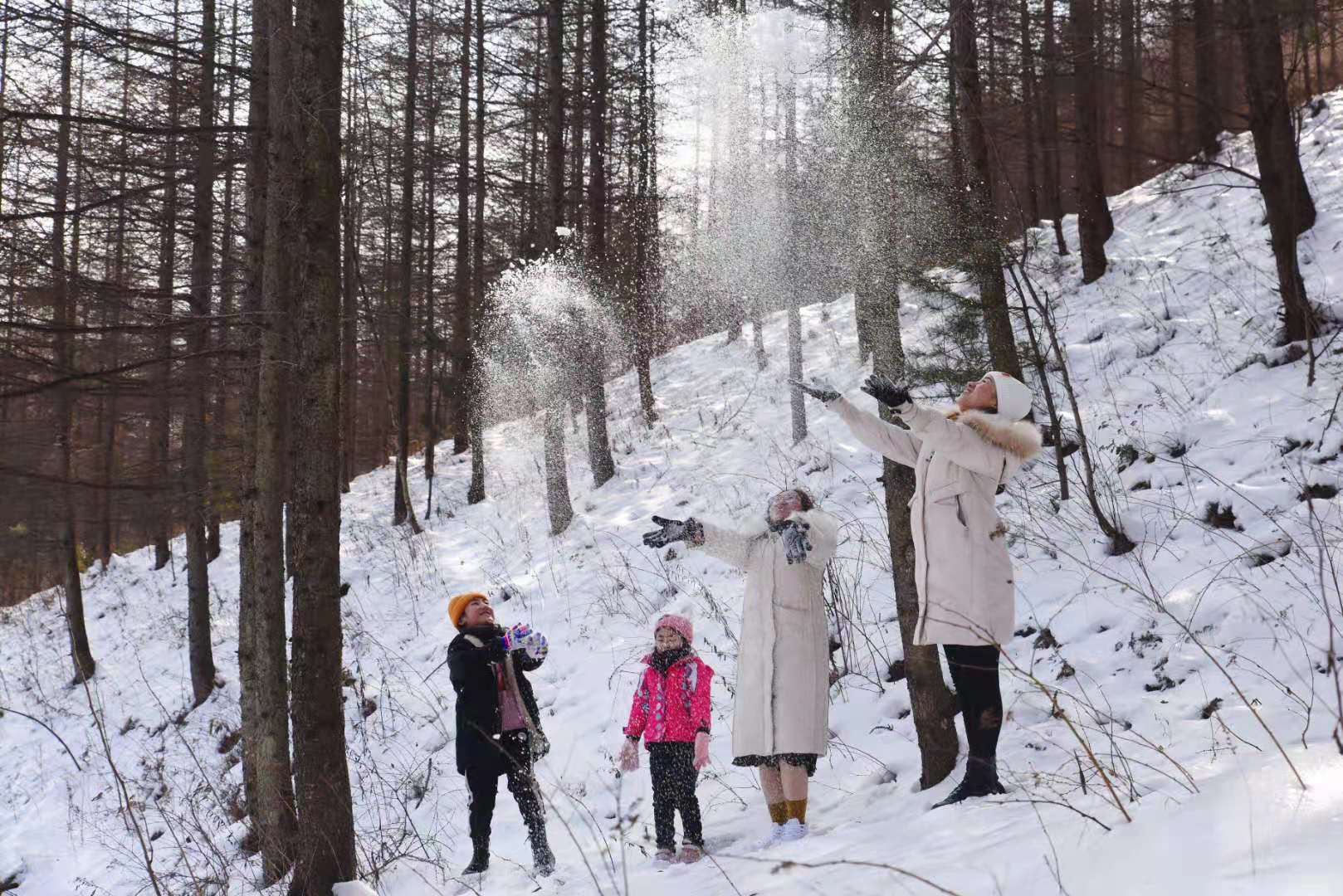 快来体验南国最美冬天！四川省第十一届（冬季）乡村文化旅游节在朝天曾家山“云上”开幕