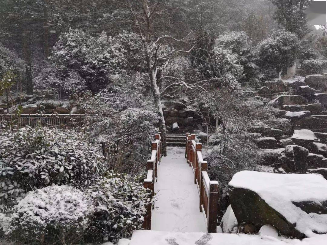 麻姑山的雪景你见过吗