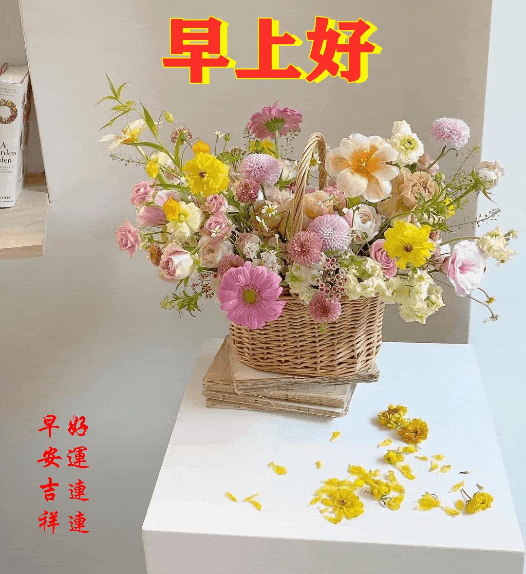2021110周日愉快《早安心语》∮