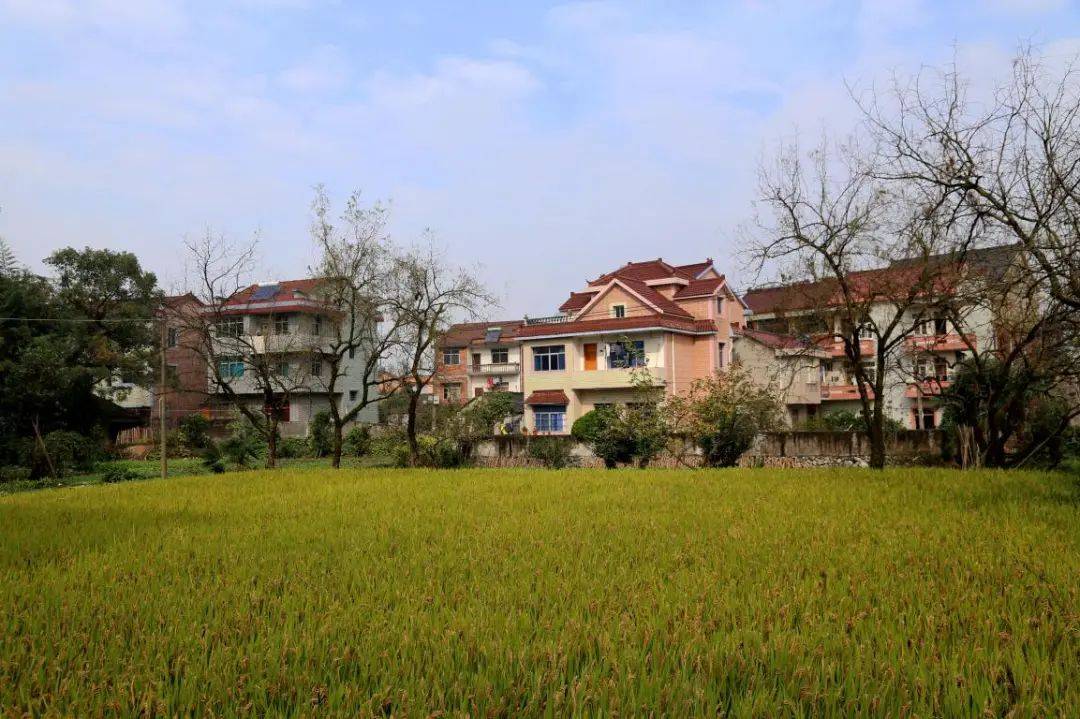 石墙里仁智村,属桐庐县城南街道,东与凤川街道西庄村接壤,西与东兴村