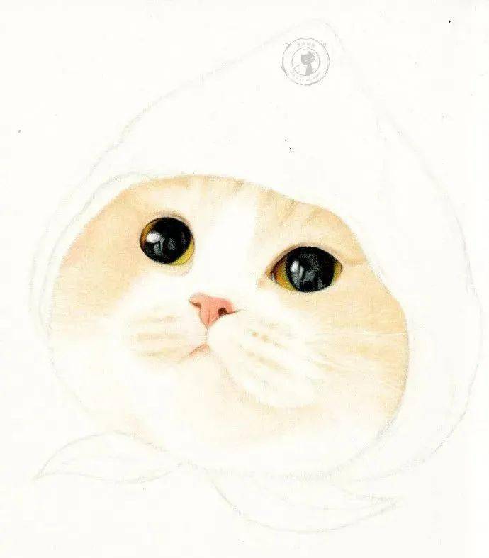彩铅教程 | 彩铅可爱猫咪过程图_清猫