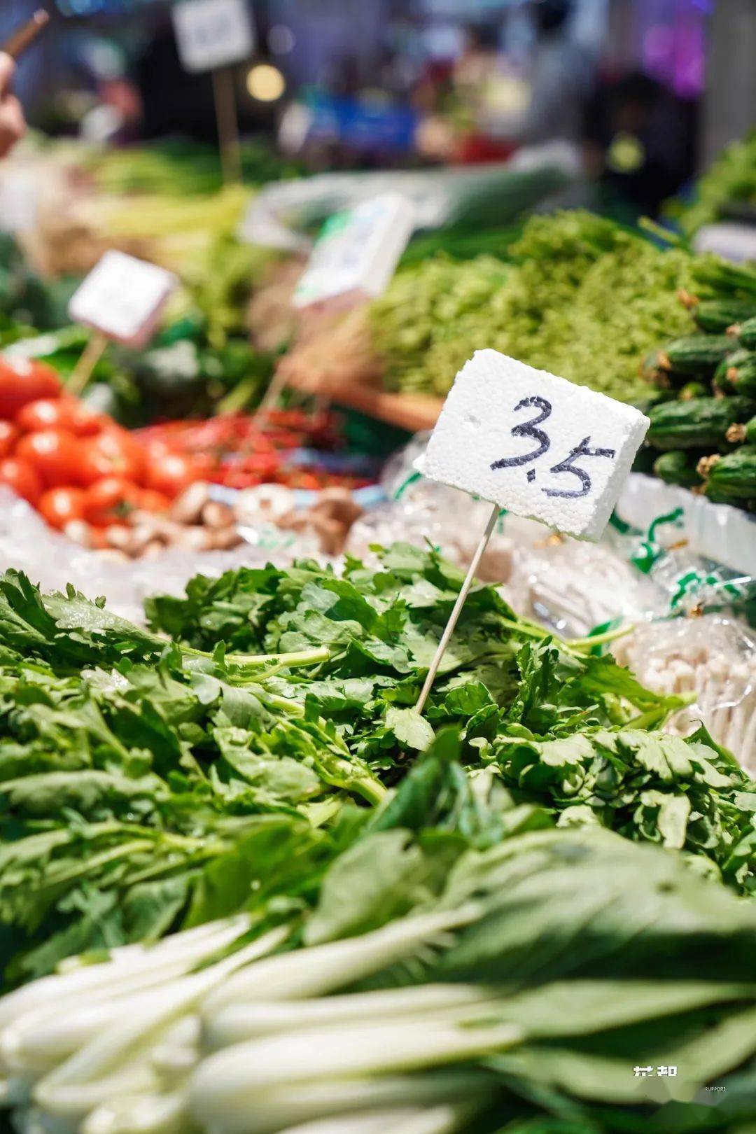 vegetable market  逛菜市场无疑是幸福而满足的,五颜六色的蔬菜瓜果