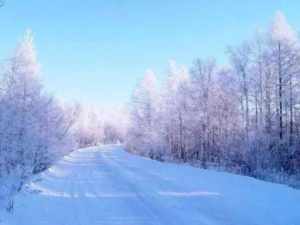 梦见家里有雪，梦境中的纯净与转变