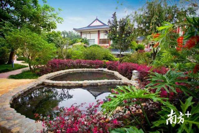 惠州温泉排行榜_广东真温泉,惠州4家上榜!