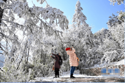 福建丨雪后武夷山美如画银装素裹白雪皑皑让人流连忘返