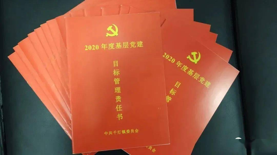 25个村(社区)党组织换届选举,圆满完成!