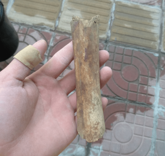之前有网友讲了一个真实但又恐怖的故事,挖到的骨头,是受害者被分尸后
