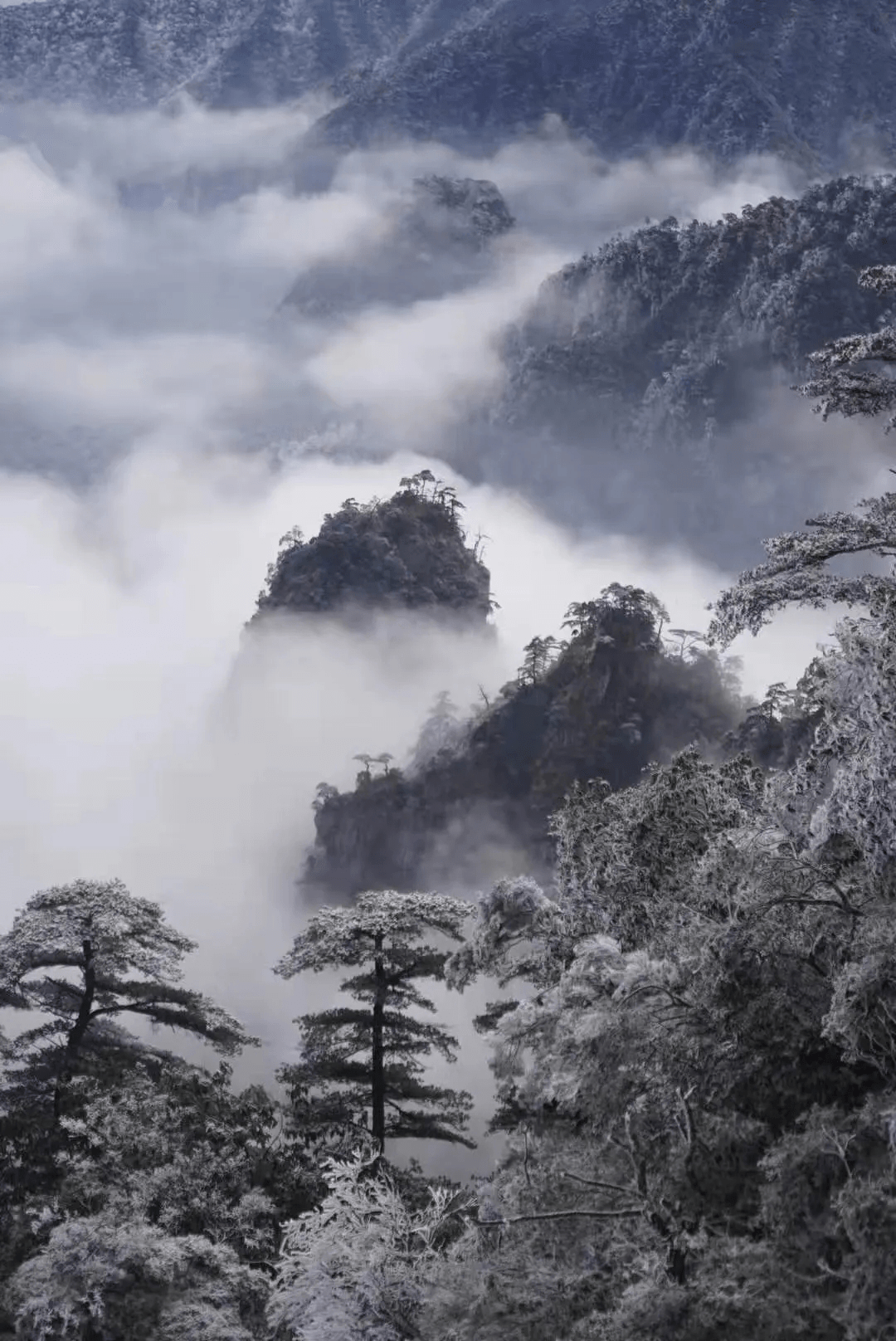 在最冷的冬日，邂逅最美的雾凇，2021莽山五指峰等你来玩