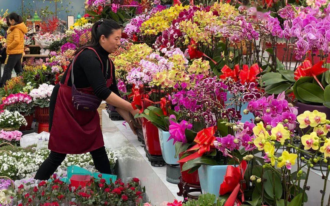 逛花市请到这里来.